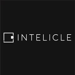 Intelicle Digital Marketing logo