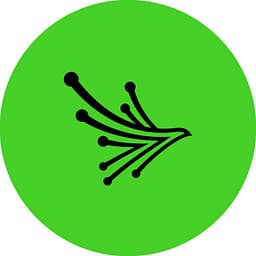 Black Kite logo