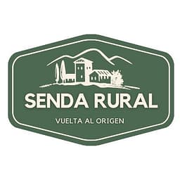SonicView logo