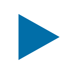Payline logo