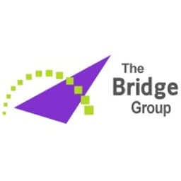 The Bridge Group, Inc. logo