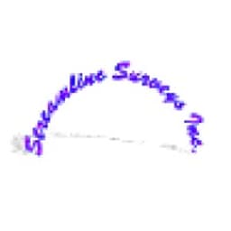 Streamline Surveys logo
