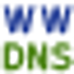 Worldwide DNS logo