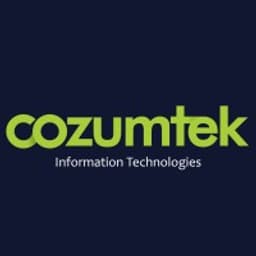 IT Professional Services logo