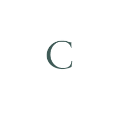 Coseer logo