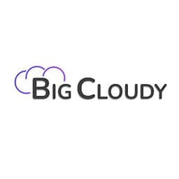 BigCloudy logo