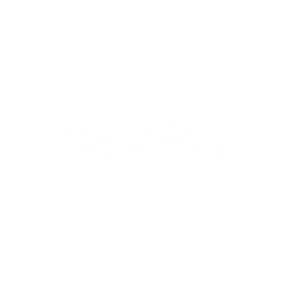 The Weather logo