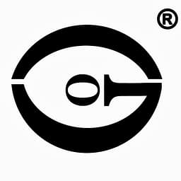 Video Investigator logo
