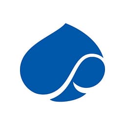 Capgemini Services logo