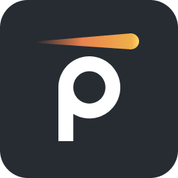 Pynt - API Security Testing logo