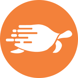 Shipturtle logo