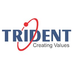 Trident Information Systems logo