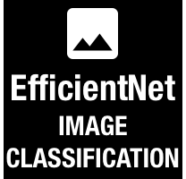 EfficientNet logo