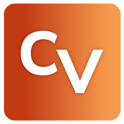 vPlaybook logo