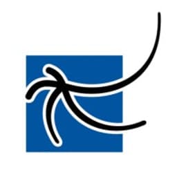 Cygnus Systems Inc. IT Solutions logo