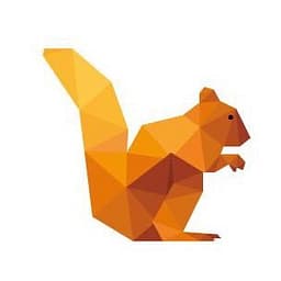 DataSquirrel logo
