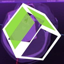Visage 7 logo