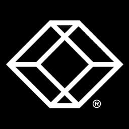 Black Box Network Services logo