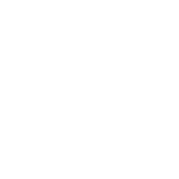 TopoDOT logo