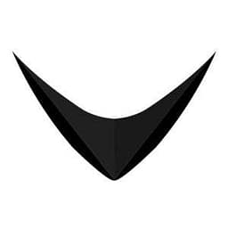RAYVN logo