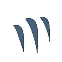 DataLynx BI logo