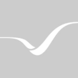 COPA-DATA logo