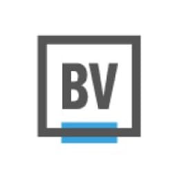 BrandVerity logo