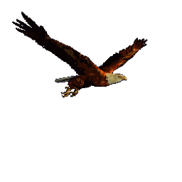 Eagle Technosys logo