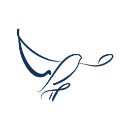 Best Practice Software logo