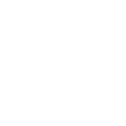 PlentyMarkets logo