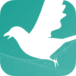 Magpie logo