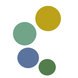 Visual LVM logo