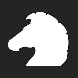 Blacknight Solutions logo
