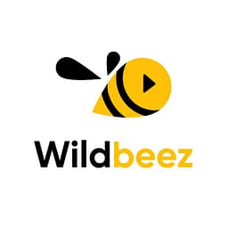 Explainer Video production logo