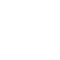 Fleet Director Global logo