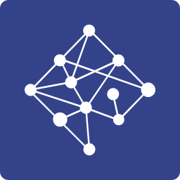 Network Perspective logo