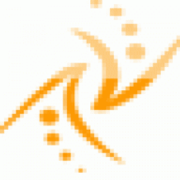 Zylone IT logo
