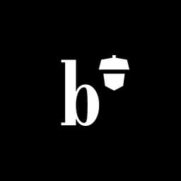 Brandient logo