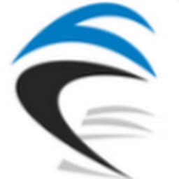 Adaptive Insights Connector for Informatica IDMC logo