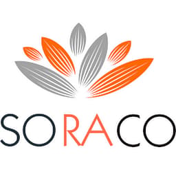 Quick License Manager logo