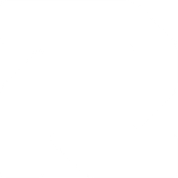 reybex logo