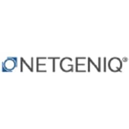 NETGENIQ Electronic Security logo