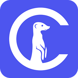 Curious Thing logo