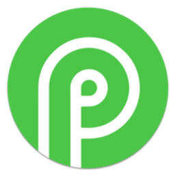 Payid19.com Crypto Payment Gateway logo