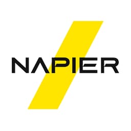 Napier Intelligent Compliance logo