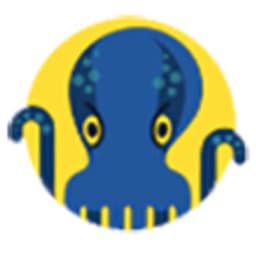 JetOctopus logo