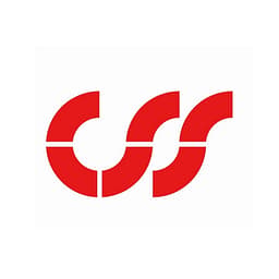 CSS logo
