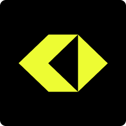 VESYL logo