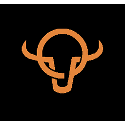 Reel Axis logo