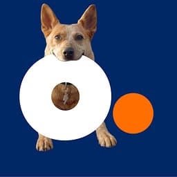 Altice Business logo